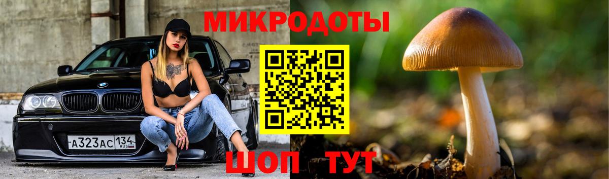 Псилоцибиновые грибы ЛСД  Вход с VPN  Псилоцибиновые грибы MAGIC MUSHROOMS  Сургут 
